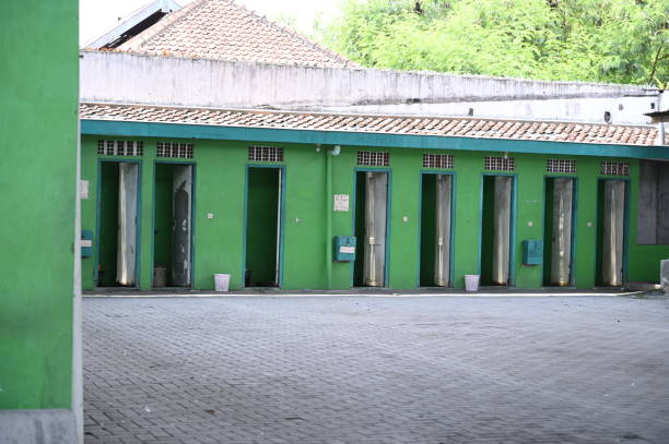 Best Local porta potty services  in Paxton, IL
